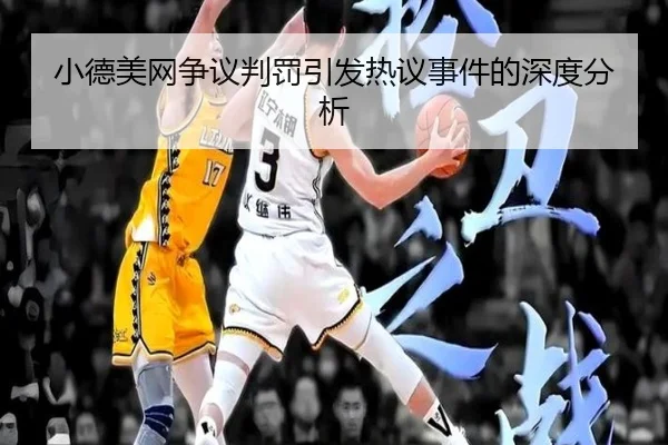 小德美网争议判罚引发热议事件的深度分析